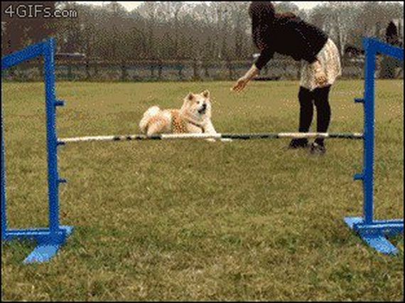 funny-pictures-1224