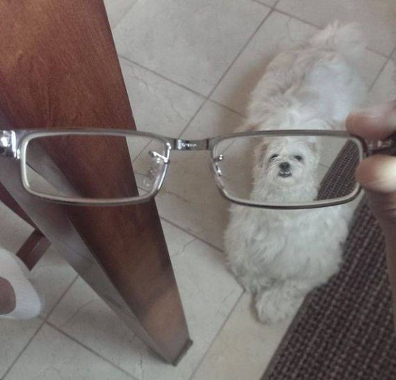 funny-pictures-1224