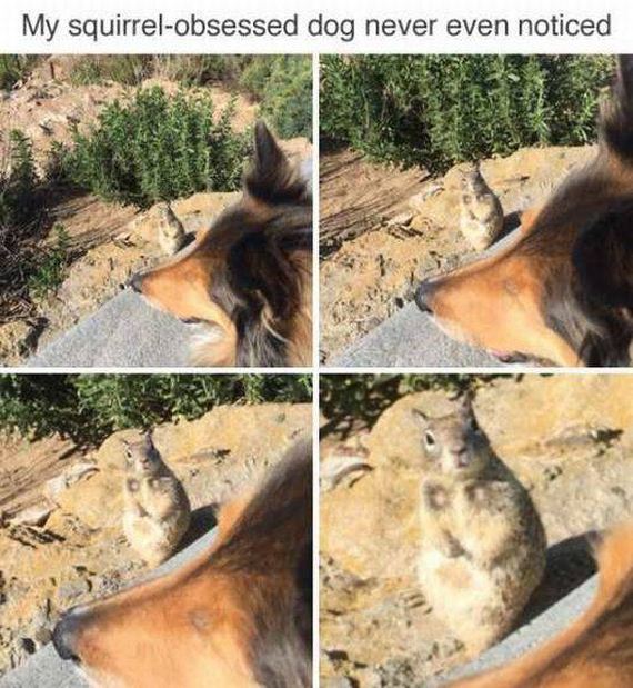 funny-pictures-1226