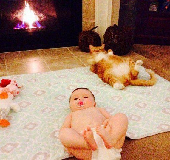 funny-pictures-1226