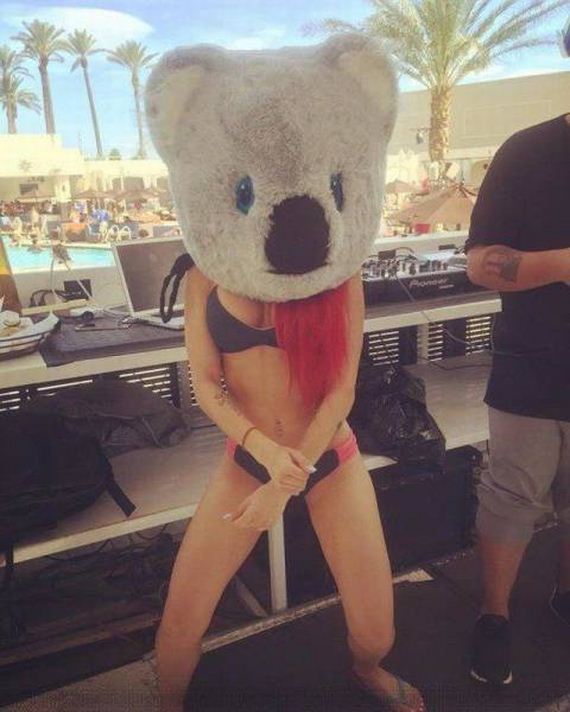 funny-pictures-1226
