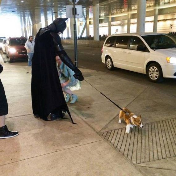 funny-pictures-1226