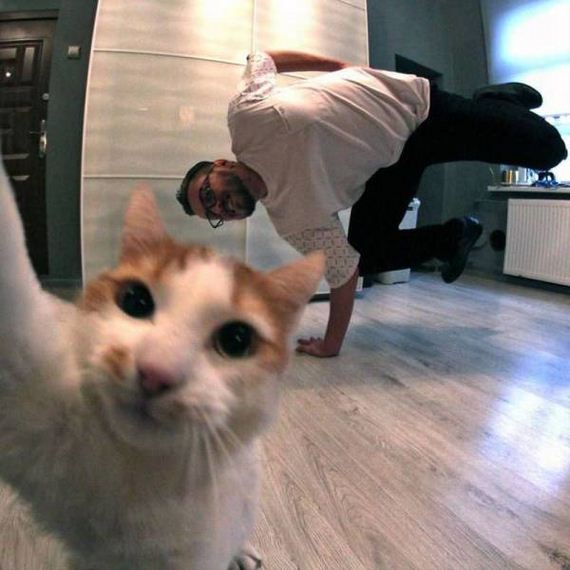 funny-pictures-1226