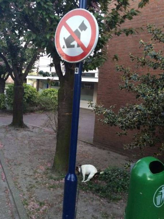 funny-pictures-1226