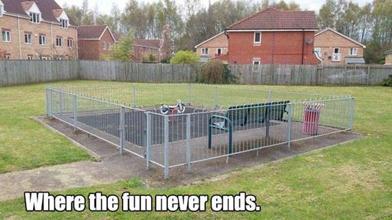 funny-pictures-1227