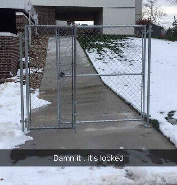 funny-pictures-1227
