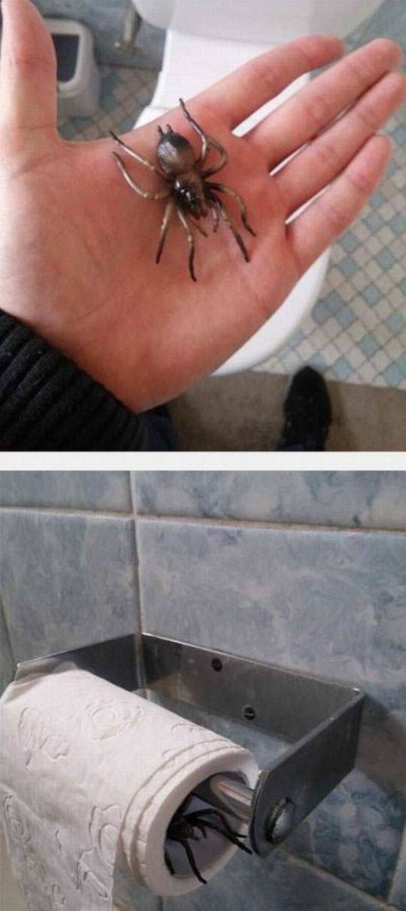 funny-pictures-1227
