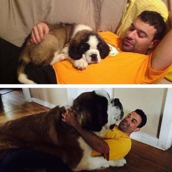 funny-pictures-1227
