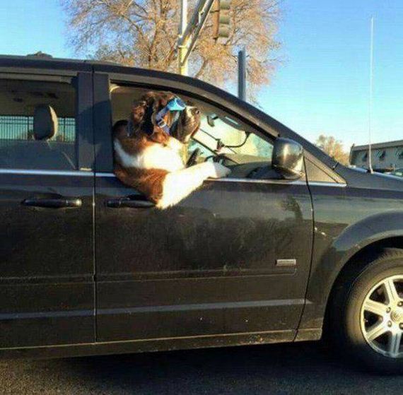 funny-pictures-1227