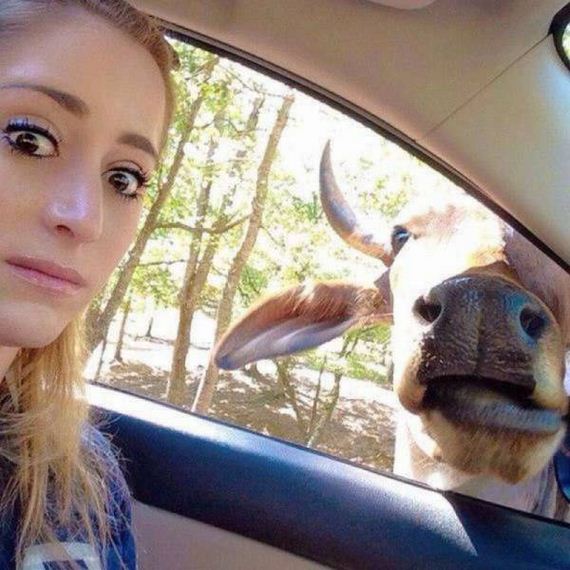 funny-pictures-1227