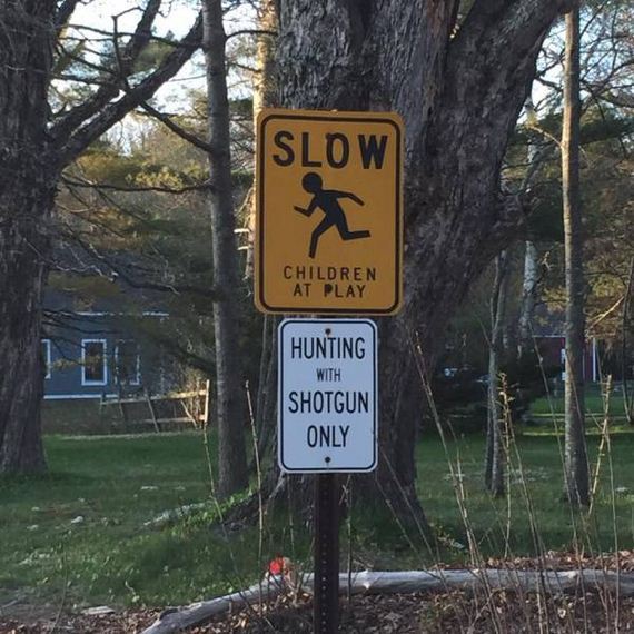 funny-pictures-1228