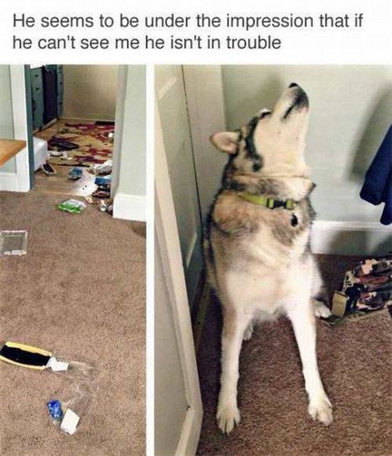 funny-pictures-1228