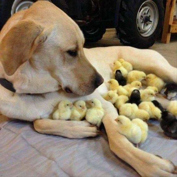 funny-pictures-1228