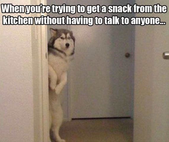 funny-pictures-1228