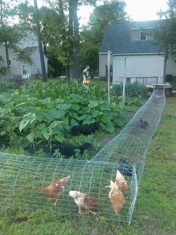funny-pictures-1228