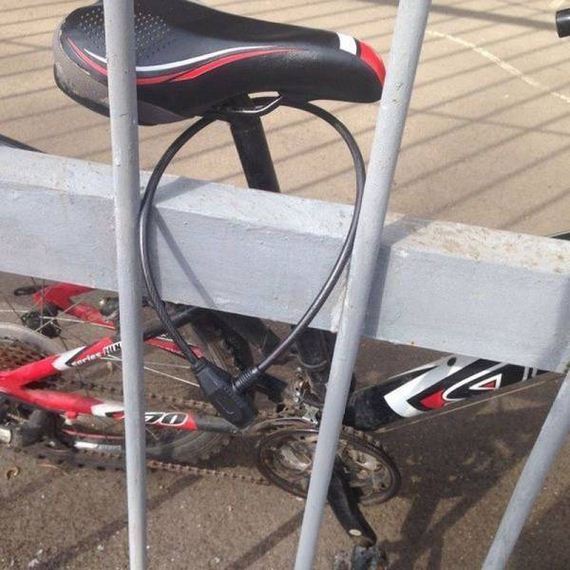 funny-pictures-1228