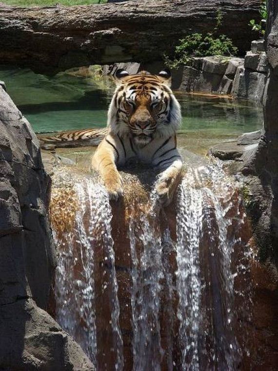 funny-pictures-1230