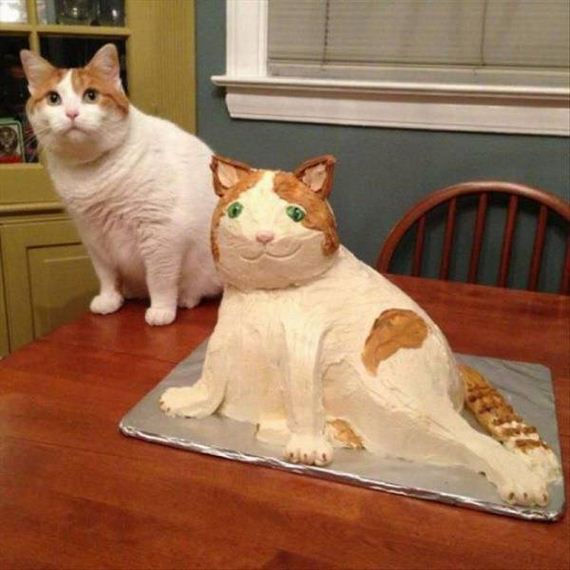 funny-pictures-1230