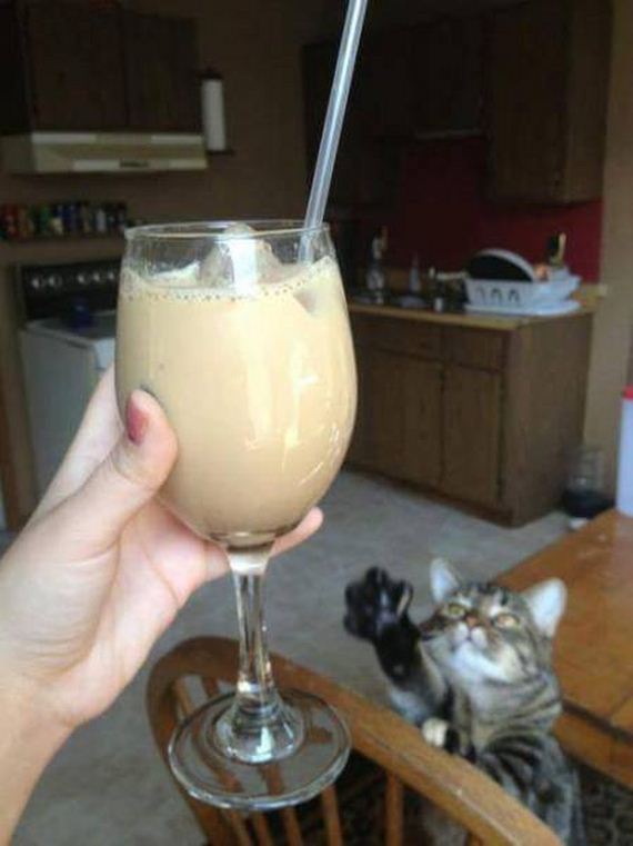 funny-pictures-1234
