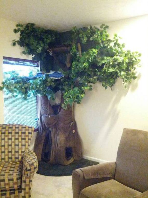funny-pictures-1234