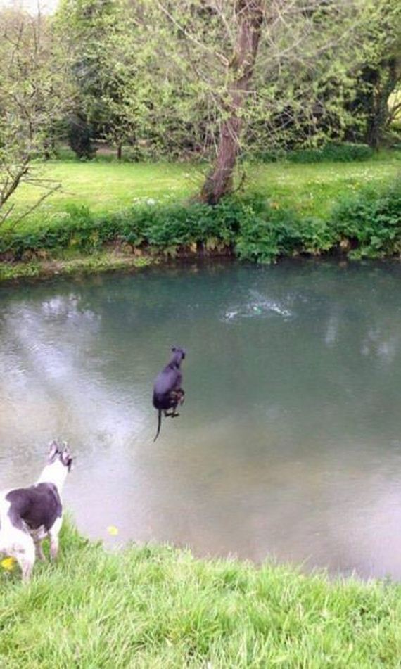 funny-pictures-1234