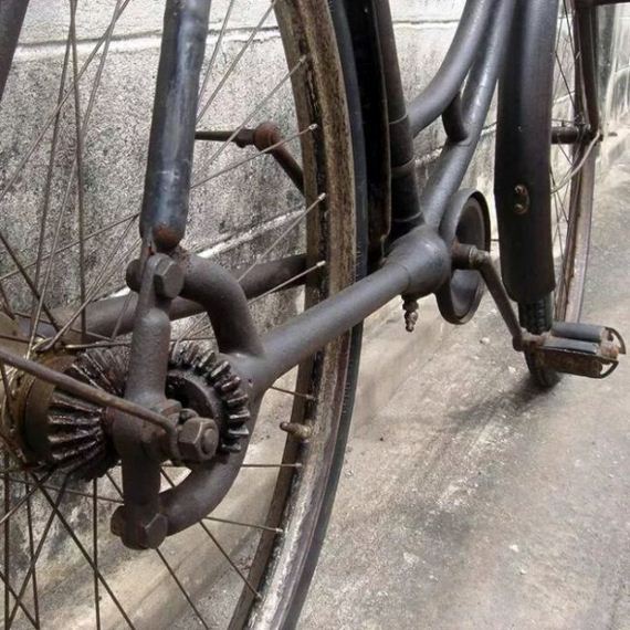 funny-pictures-1235