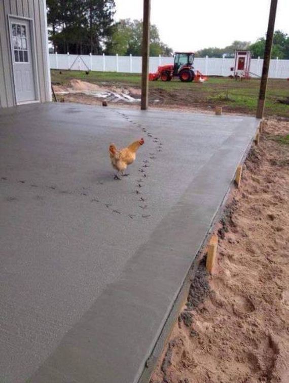 funny-pictures-1235