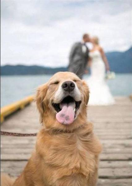 funny-pictures-1237