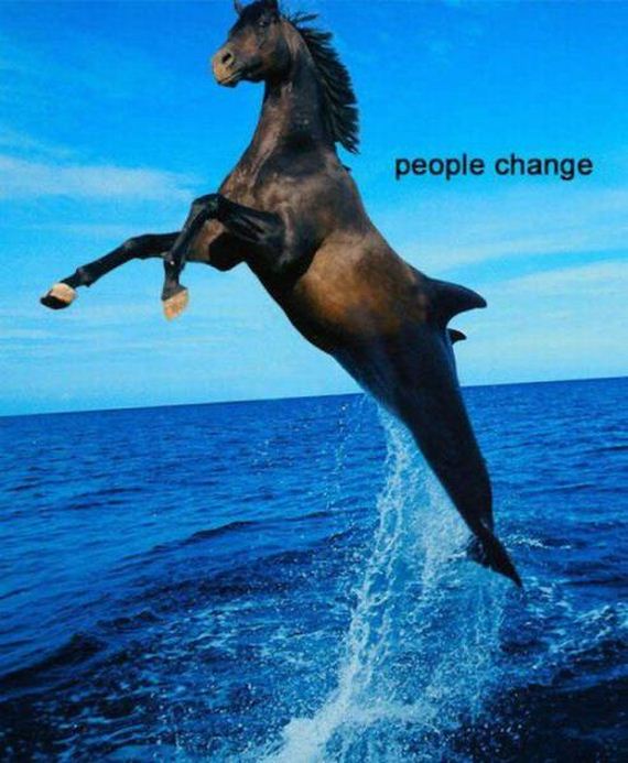 funny-pictures-1238