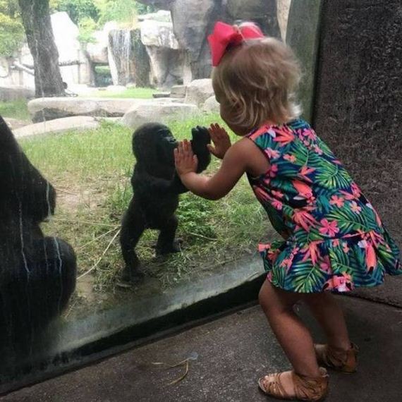 funny-pictures-1238