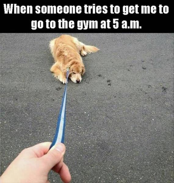 funny-pictures-1238