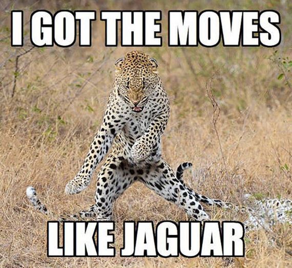 funny-pictures-1238