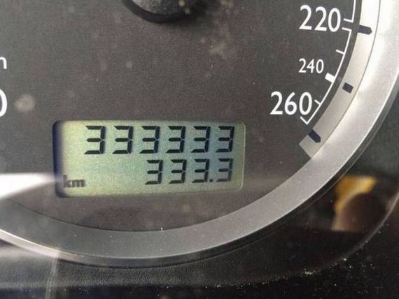 funny-pictures-1239