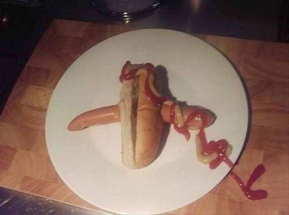 funny-pictures-1239