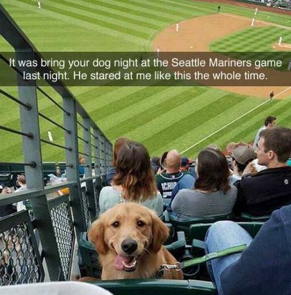 funny-pictures-1239