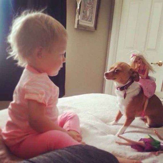 funny-pictures-1239