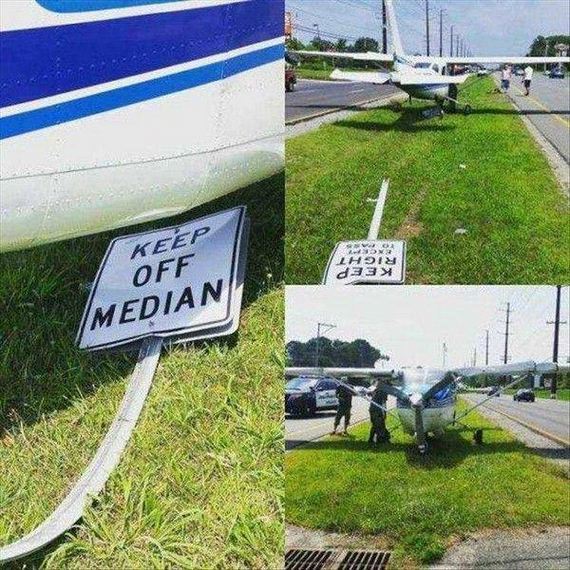 funny-pictures-1239