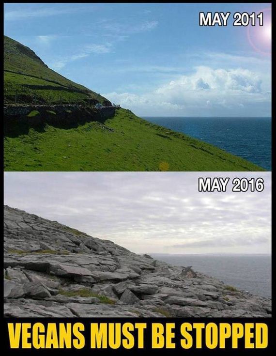 funny-pictures-1239