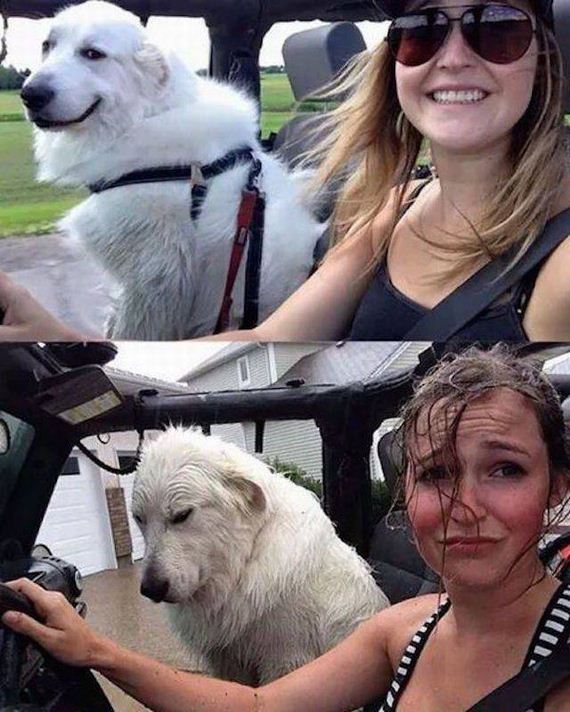 funny-pictures-1239