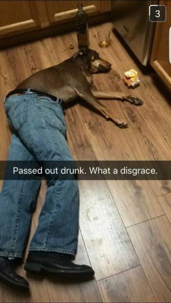funny-pictures-1240