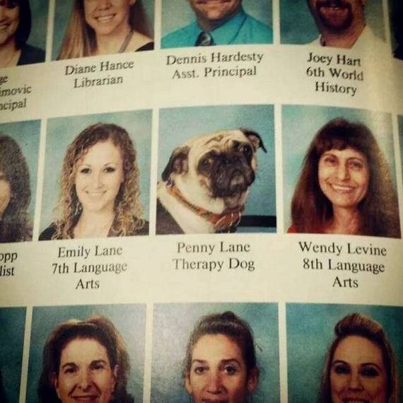 funny-pictures-1240