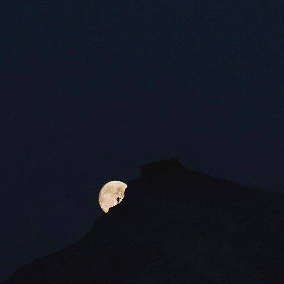 funny-pictures-1241