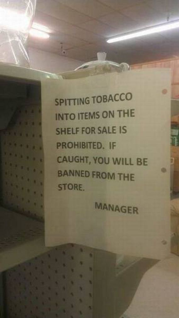 funny-pictures-1241