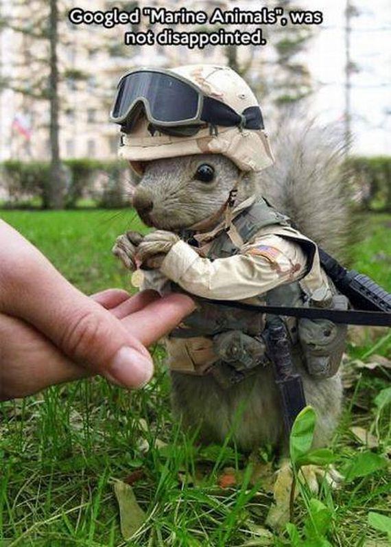 funny-pictures-1241