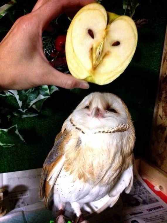 funny-pictures-1241