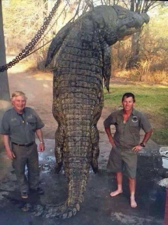 funny-pictures-1241