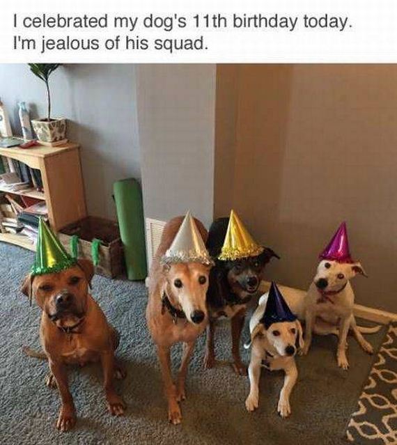funny-pictures-1241