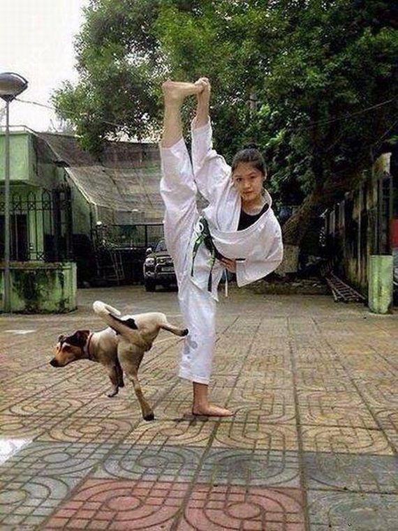funny-pictures-1241