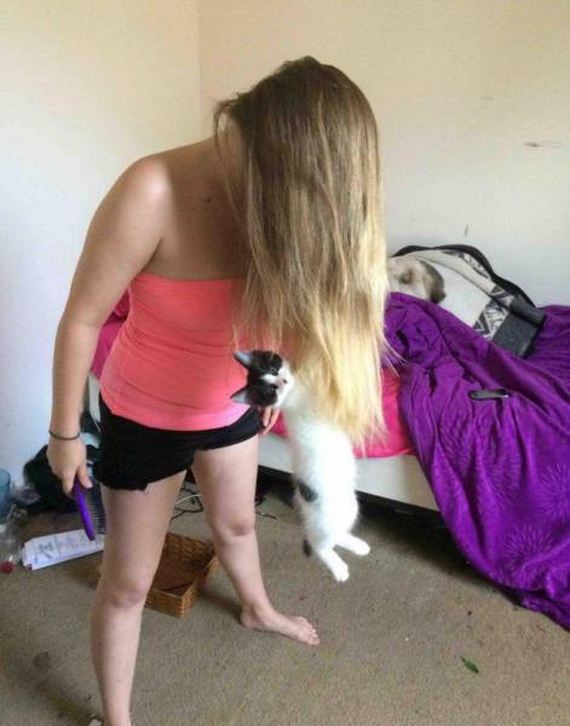 funny-pictures-1242