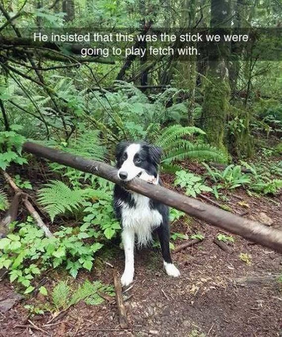 funny-pictures-1242